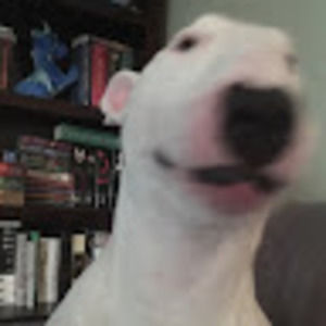 Meet your Posher, Alexa